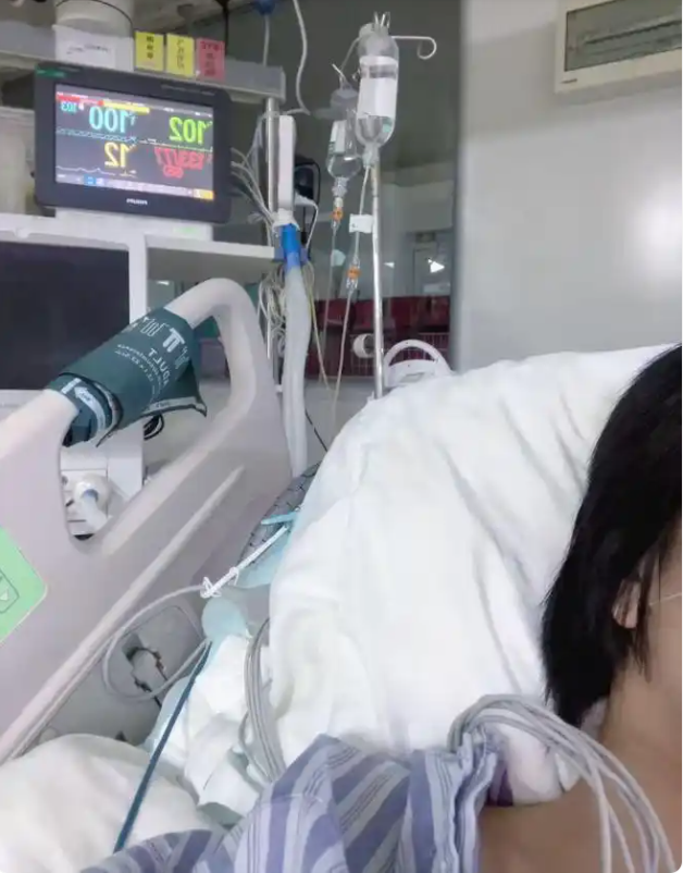 上海女子驱车1000公里跨省报警，虐猫学生被学校开除
