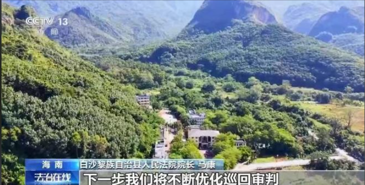 结伙徒步进山 多次在国家公园盗伐珍贵名木 26人被判刑